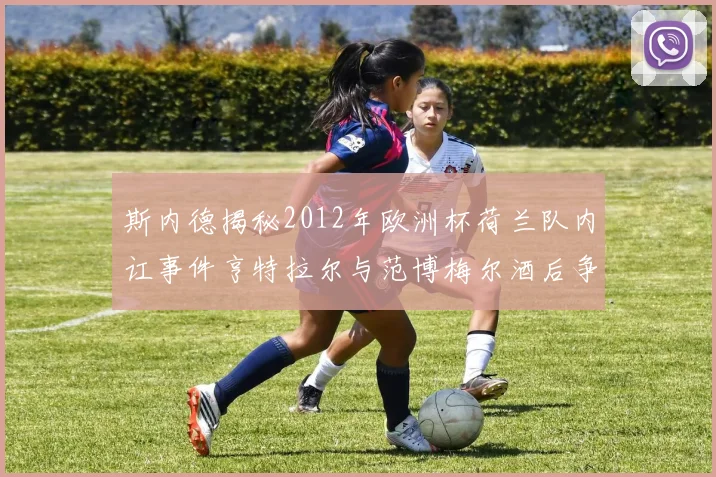 斯内德揭秘2012年欧洲杯荷兰队内讧事件亨特拉尔与范博梅尔酒后争执内幕