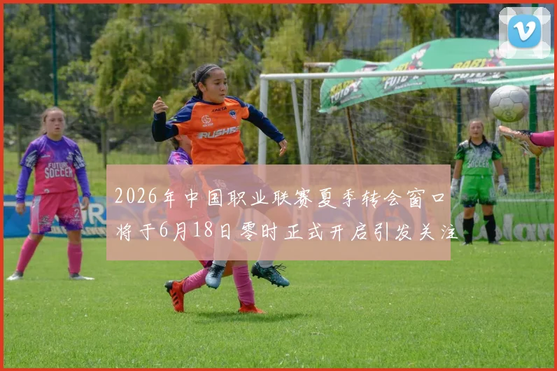 2026年中国职业联赛夏季转会窗口将于6月18日零时正式开启引发关注